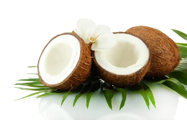 Coconuts with leaves and flower, isolated on white — Stock Photo, Image