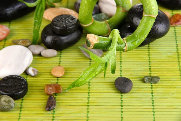 Hermosas ramas de bambú con piedras para spa en mesa de madera —  Fotos de Stock