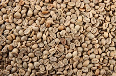 Yeşil kahve çekirdekleri, yakın çekim