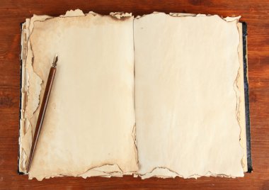 eski kitap ve tükenmez kalem ahşap arka plan üzerine açık