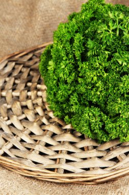 yararlı otlar yakın çekim