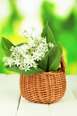 güzel dağ nergis parlak zemin üzerine ahşap masa üzerinde hasır sepet