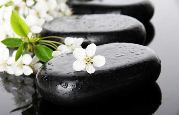 Pietre termali e fiori bianchi su sfondo scuro — Foto Stock