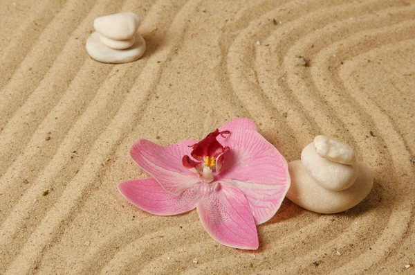 Giardino zen con sabbia rastrellata e pietre rotonde da vicino — Foto Stock