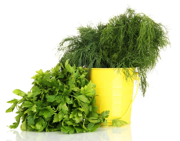 Useful herbs in pail isolated on white — Stock Photo, Image