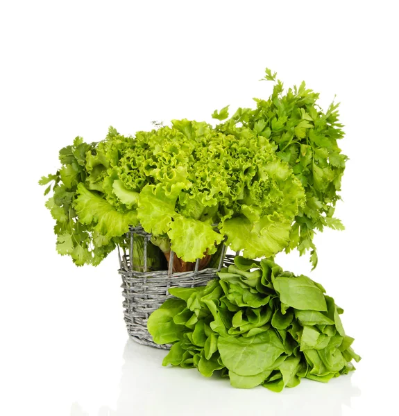 Przydatne zioła na białym tle — Zdjęcie stockowe