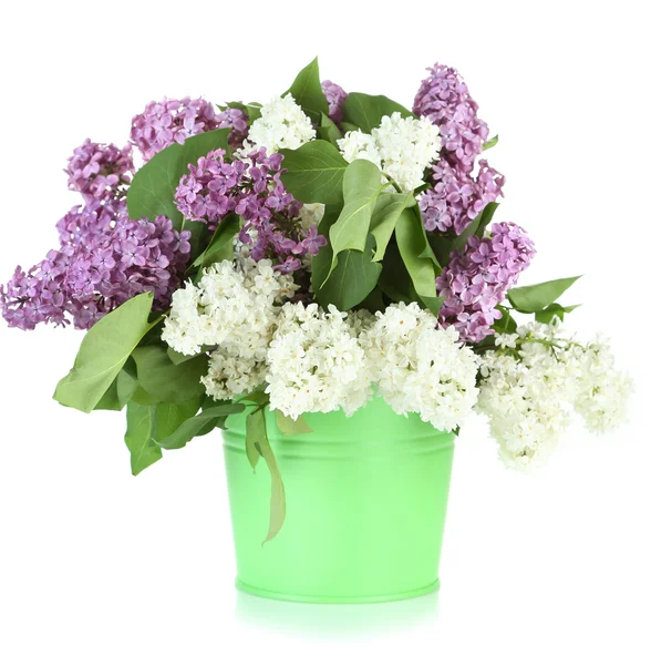 Beautiful lilac flowers in bucket, isolated on white — Stock Photo, Image