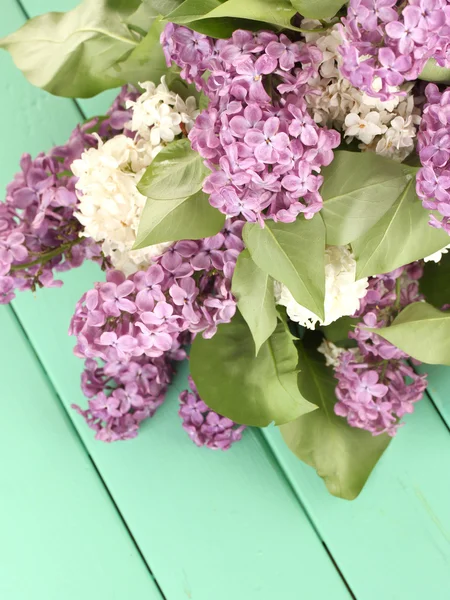 Gyönyörű lila virágok, színes fából készült háttér — Stock Fotó