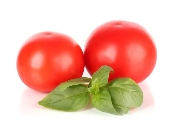 Tomate et basilic isolés sur blanc — Photo