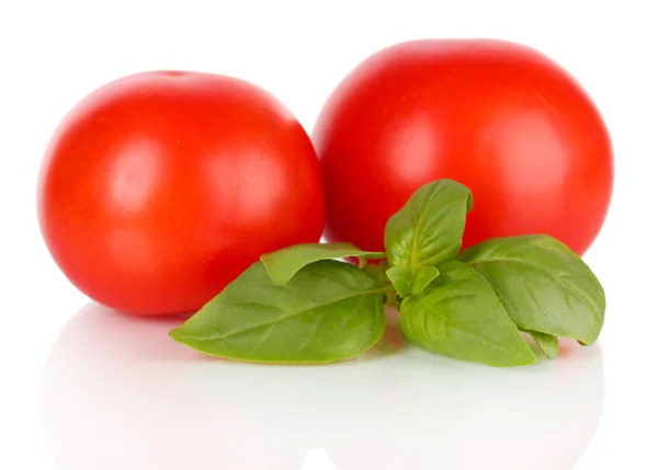 Tomate et basilic isolés sur blanc — Photo