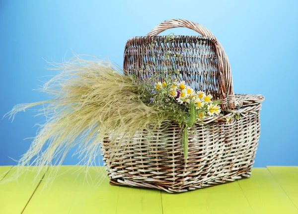 Bouquet of wild flowers and herbs, in wicker basket, on color background — Stock Photo, Image