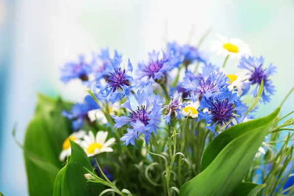Beautiful cornflowers and chamomiles — Stock Photo, Image