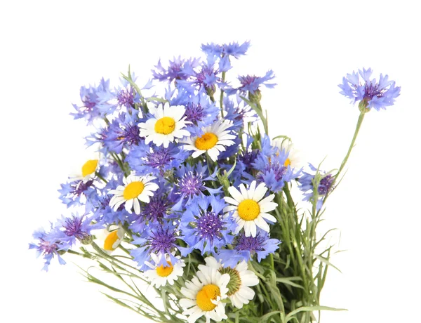 Beautiful bouquet of cornflowers and chamomiles ,isolated on white — Stock Photo, Image