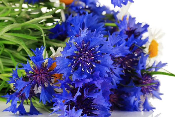 Mooi boeket van korenbloemen en chamomiles, geïsoleerd op wit — Stockfoto