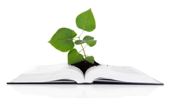 Kniha s rostlinou izolovaných na bílém — Stock fotografie