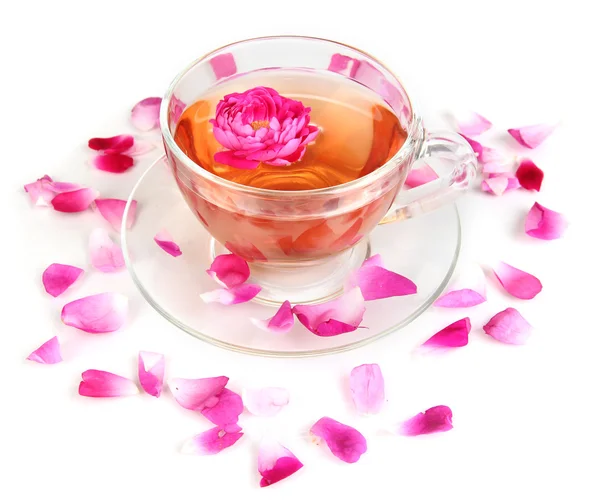 Rose tea isolated on white — Stock Photo, Image