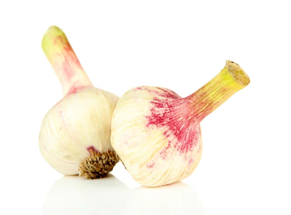 Fresh garlic, isolated on white — Stock Photo, Image