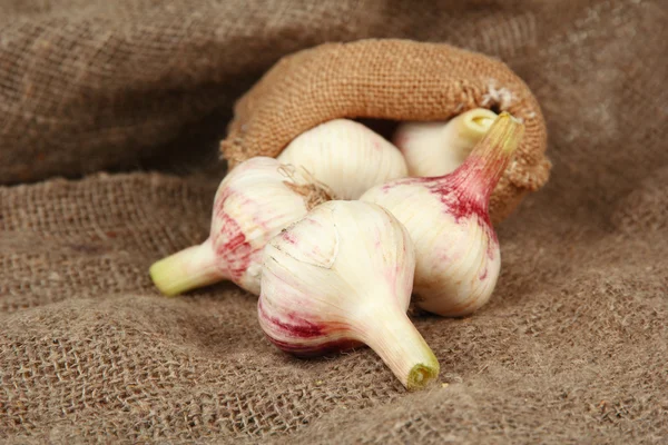 Fresh garlic, on sackcloth background — Stockfoto