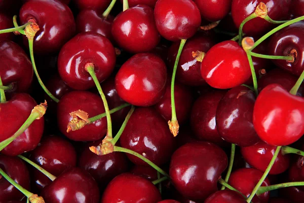 Cherry berries close-up — Stock Photo, Image