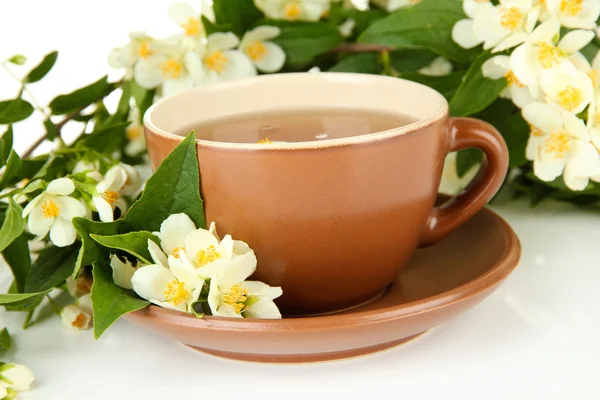 Tasse Tee mit Jasmin, isoliert auf weiß — Stockfoto