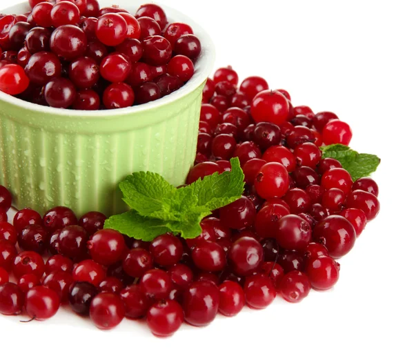 Olgun kırmızı cranberries Whit üzerinde izole kase, — Stok fotoğraf