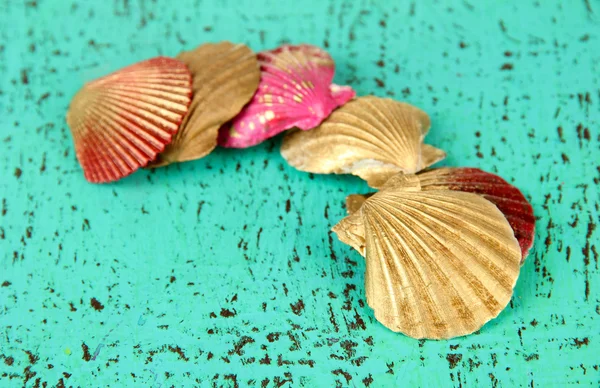 Conchas marinas de colores sobre fondo de madera de color — Foto de Stock