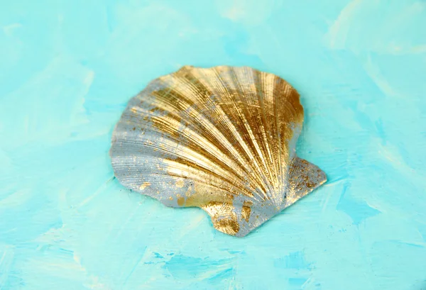 Colorful seashell on color wooden background — Stock Photo, Image