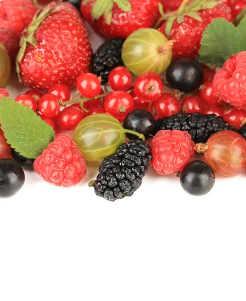 Ripe berries isolated on white — Stock Photo, Image