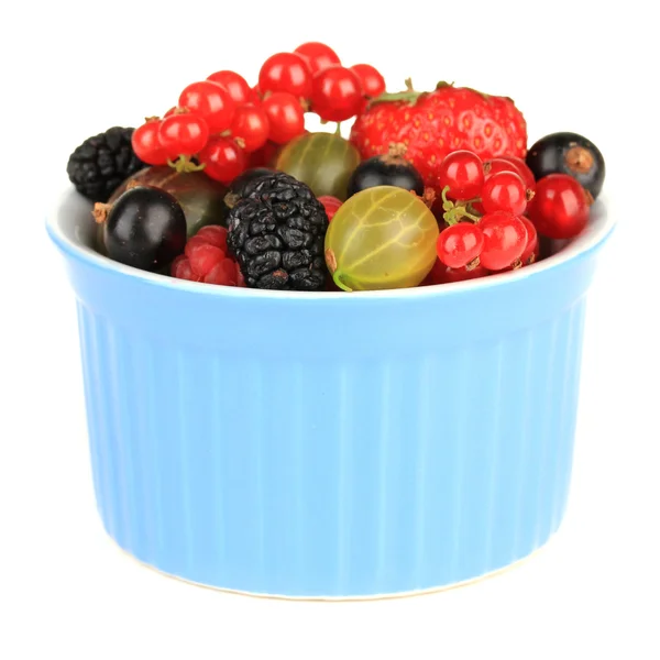成熟的莓果在碗上白色隔离 — 图库照片