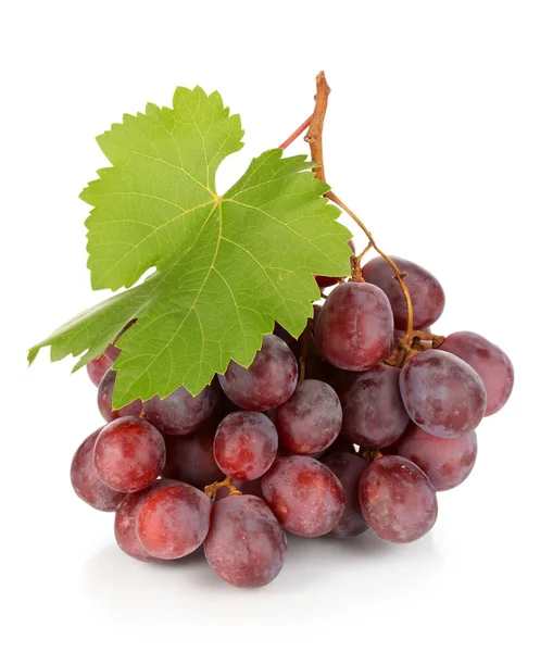 Ripe delicious grapes isolated on white — Stock Photo, Image