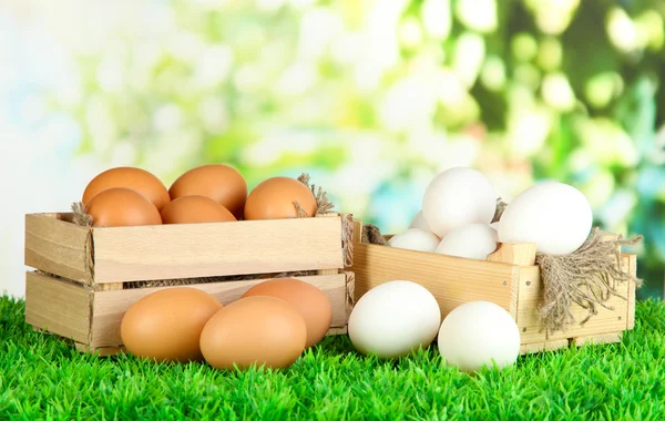Viele Eier in Schachteln auf Gras auf hellem Hintergrund — Stockfoto