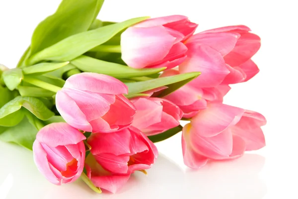 Pink tulips isolated on white — Stock Photo, Image