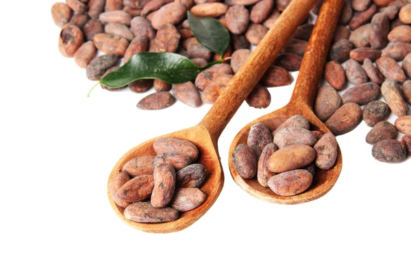 Какао-бобы в деревянных ложках с листьями, изолированные на белом — стоковое фото