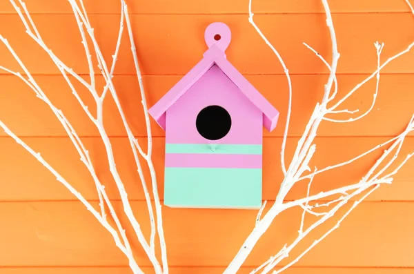 Caixa de aninhamento decorativa com galhos de cor, na cor de fundo de madeira — Fotografia de Stock