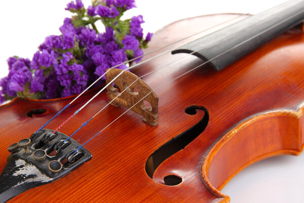 Классическая скрипка с цветами
