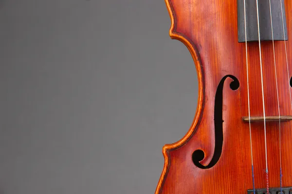 Classical violin on grey background — Stock Photo, Image