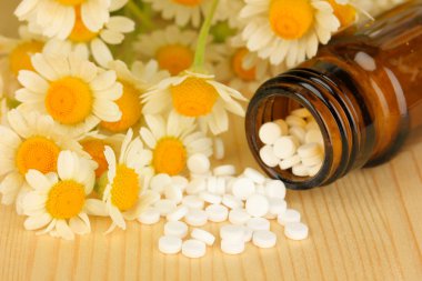 Tıp papatya çiçeği ahşap tablo