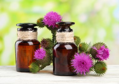 thistle çiçek doğa zemin üzerine tıp şişe