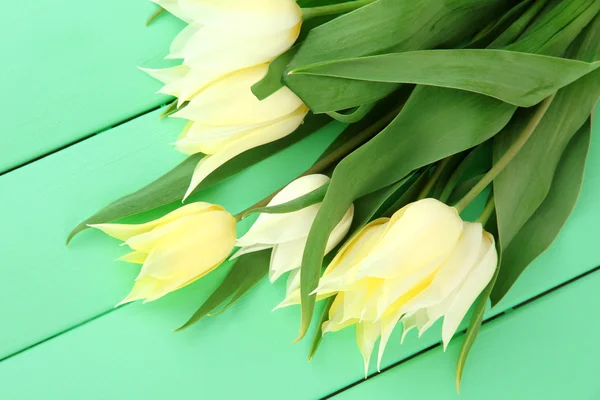 Beautiful white tulips on color wooden background — Stock Photo, Image