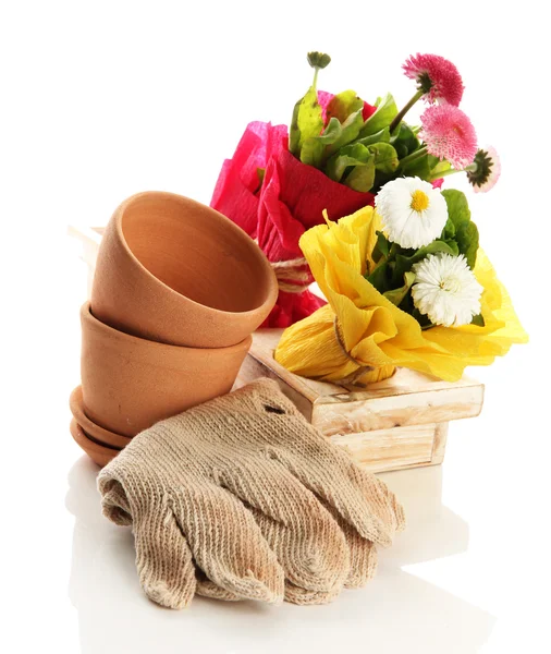 Τα όμορφα λουλούδια άνοιξη σε ξύλινα κιβώτιο και τα γάντια κηπουρικής που απομονώνονται σε λευκό — Φωτογραφία Αρχείου