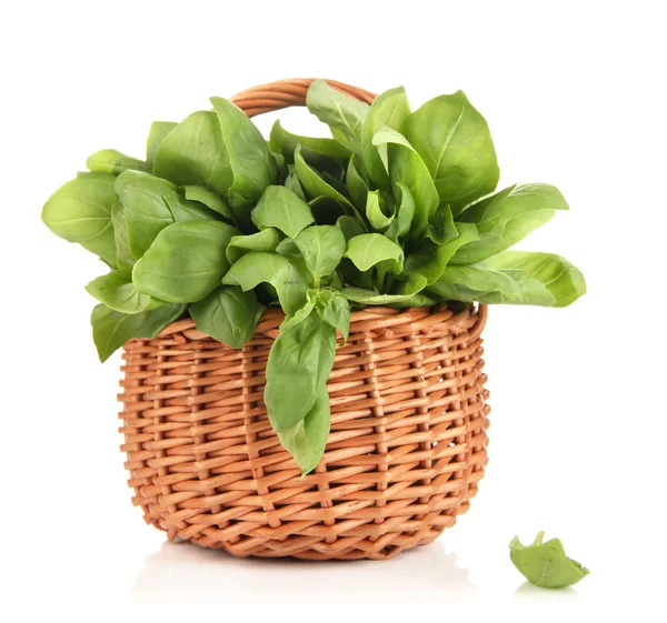 Fresh herb in basket isolated on white — Stock Photo, Image