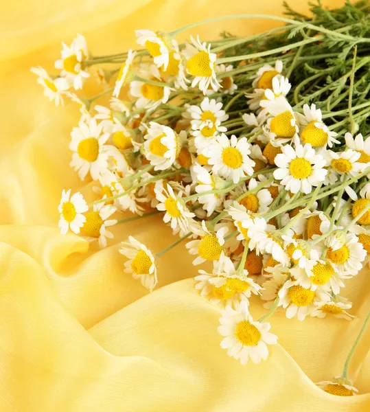 Many chamomile on yellow cloth background — Stock Photo, Image