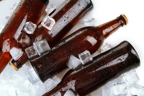 Botellas de cerveza en cubos de hielo de cerca —  Fotos de Stock