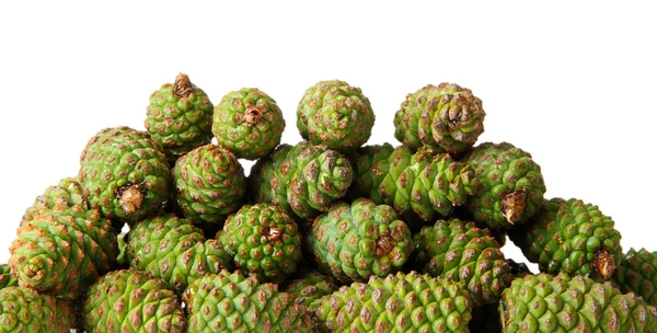 Green pine cones isolated on white — Stock Photo, Image