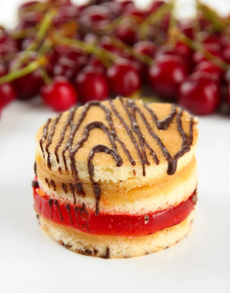 Gâteau au biscuit savoureux et baies isolées sur blanc — Photo