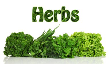 yararlı otlar üzerinde beyaz izole