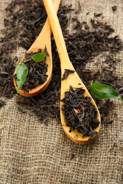 Száraz tea, zöld levelek a fakanál, a zsákvászon háttér — Stock Fotó