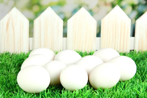 Molte uova su erba su sfondo luminoso — Foto Stock