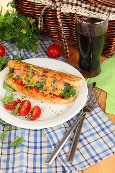 Delizioso hot dog sul piatto al picnic primo piano — Foto Stock