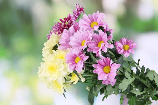 Bouquet of beautiful chrysanthemums on bright background — Stock Photo, Image